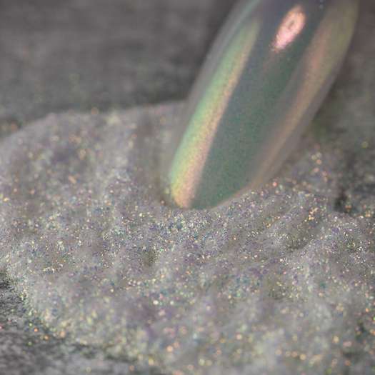 Chameleon 01
